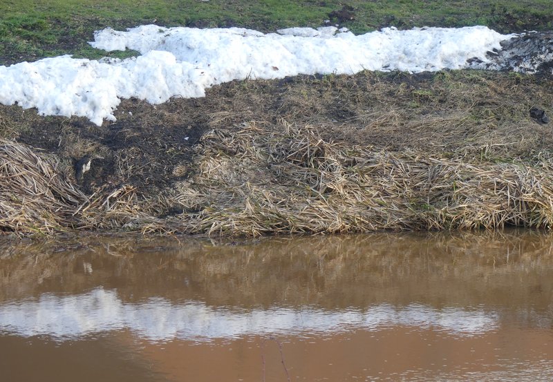 09-02-26 Een beetje sneeuw, ook gespiegeld. Foto: Magdalena