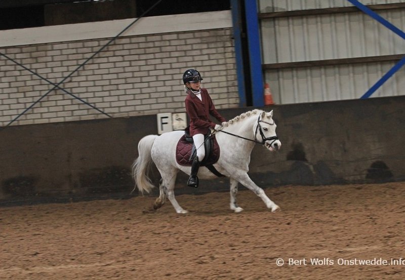 29-11-25 Selectiewedstrijd dressuur De Driesporen. Foto: Bert Wolfs Onstwedde.info