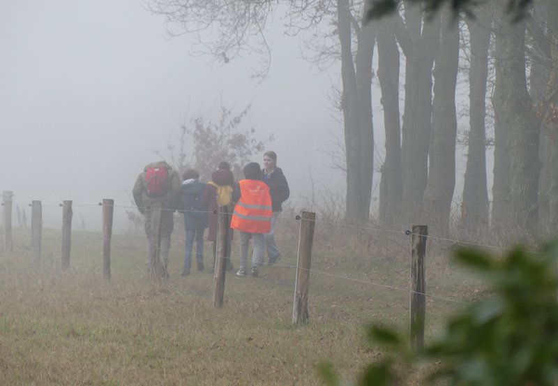07-02-26 Mistwandelaars langs de Roege Baarg. Foto: Magdalena
