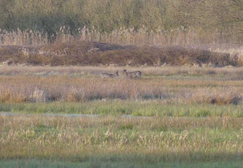 08-04-26 De uitdaging. Foto: Magdalena