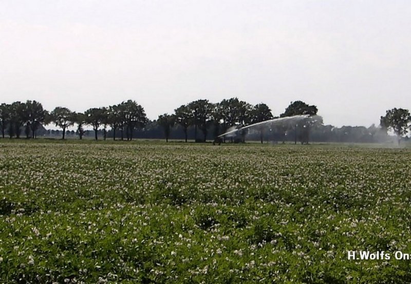 04-08-26 Regeninstallatie in een aardappelveld aan de Tweede Barlagerweg. Foto: H. Wolfs Onstwedde.info
