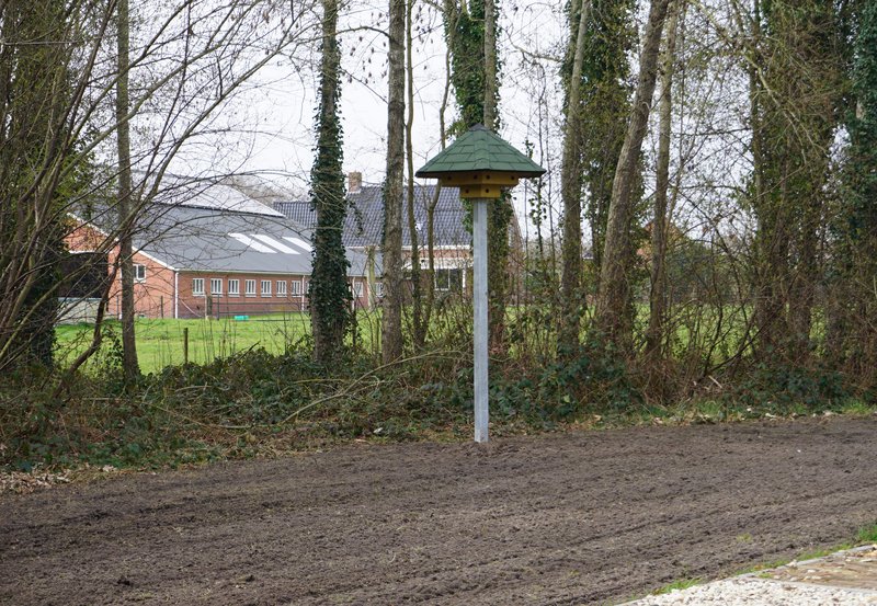 24-03-26 Een vogeltil in Park Kampvennen. Foto: Anneke Orsel Onstwedde.info