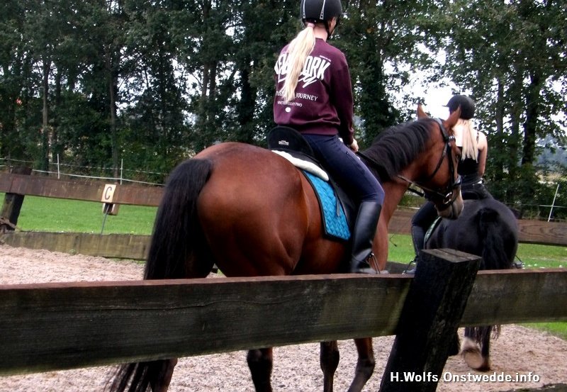 07-10-26 Paardrijlessen in de buitenbak. Foto: H. Wolfs Onstwedde.info (fotoreportage)