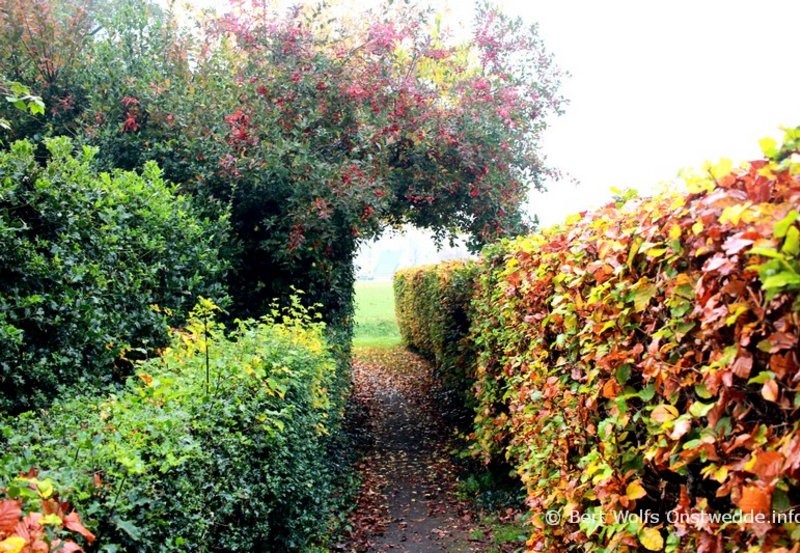 08-11-25 Kerkpad, nabij de ijsbaan. Foto: Bert Wolfs Onstwedde.info