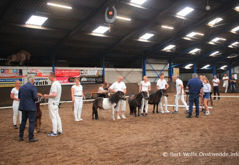 15-08-26 Shetlandpony keuring in manege De Driesporen. Foto: Bert Wolfs Onstwedde.info