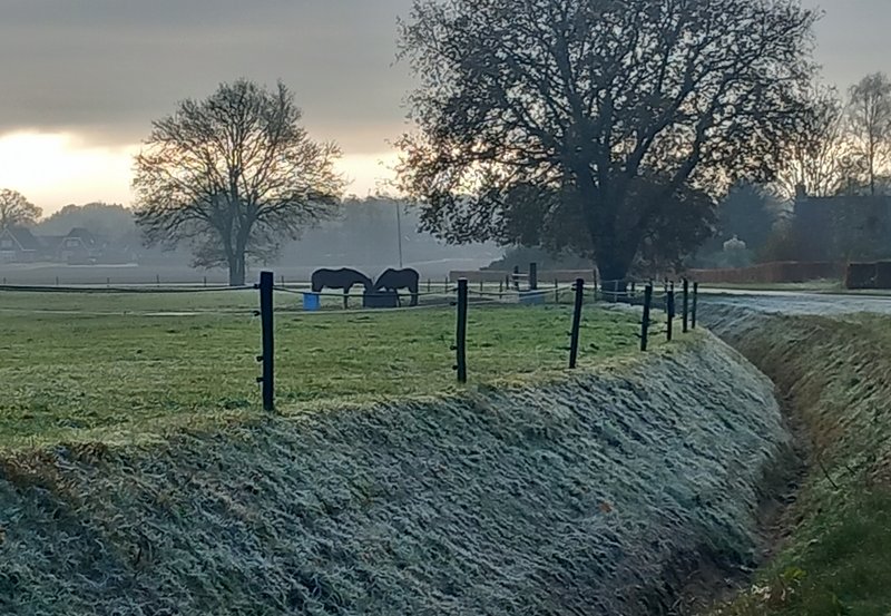 26-11-25 Winters sfeertje aan de Heideweg. Foto: Roelie Knigge Onstwedde.info