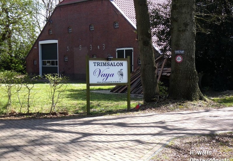 09-04-26 Trimsalon Vaija aan de Ter Wuppingerweg. Foto: H. Wolfs Onstwedde.info