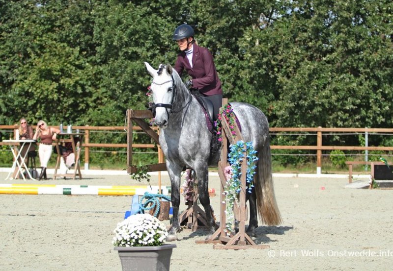 28-09-26 Working Equitation Thema Caribisch. Foto: Bert Wolfs Onstwedde.info