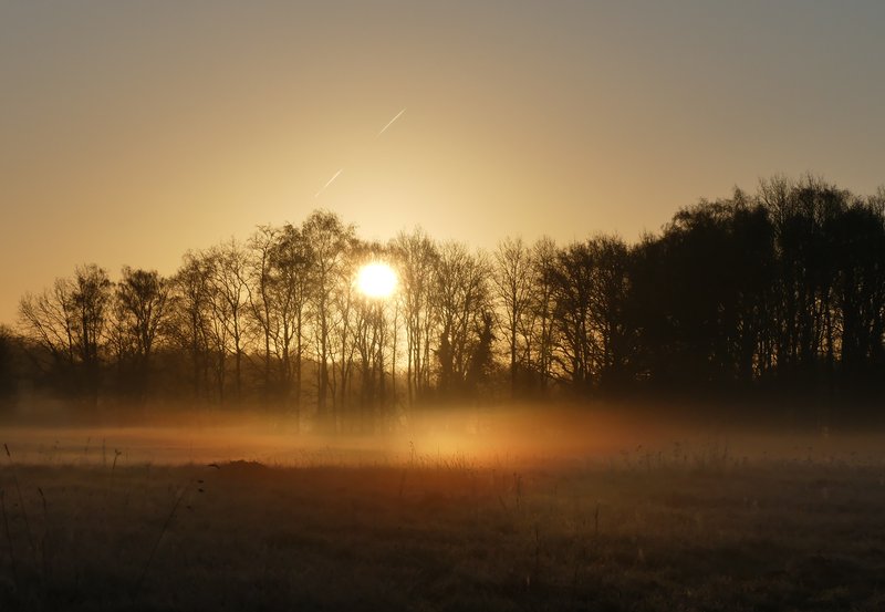 08-04-26 De morgenstond heeft goud in de mond. Foto: Magdalena