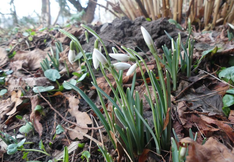 10-02-26 Voor mij de eerste. Foto: Magdalena