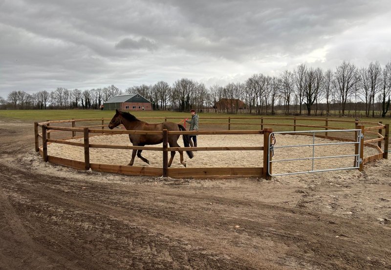 24-02-26 De longeercirkel bij manege De Driesporen is inmiddels volop in gebruik. Foto: Bé Wilzing