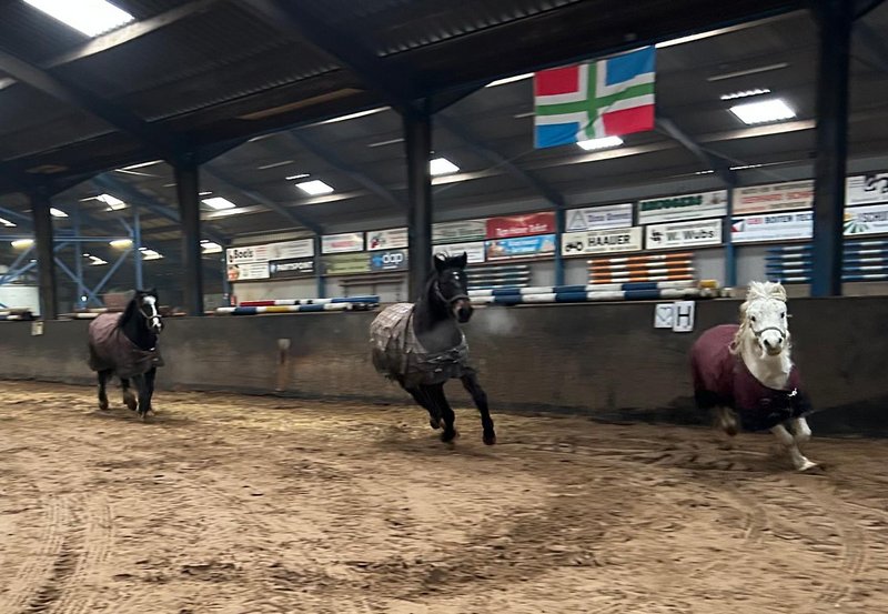 24-01-26 Jippie! We zijn zo blij! De rommelmarkt is voorbij! Foto: De Driesporen