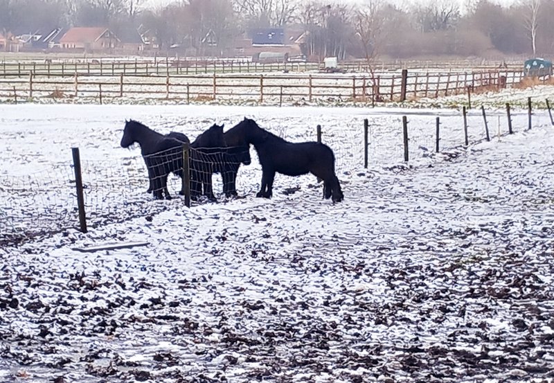 16-02-26 Sneeuwlandschap bij de Valgweg. Foto: Roelie Knigge Onstwedde.info