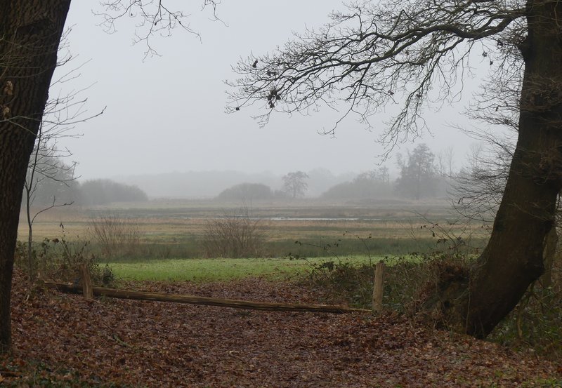 10-02-26 Grauwgroen achter de Roege Baarg. Foto: Magdalena
