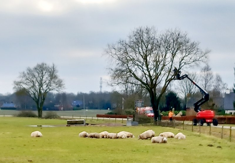 19-02-26 Hoogwerker aan de Heideweg. Foto: Roelie Knigge Onstwedde.info