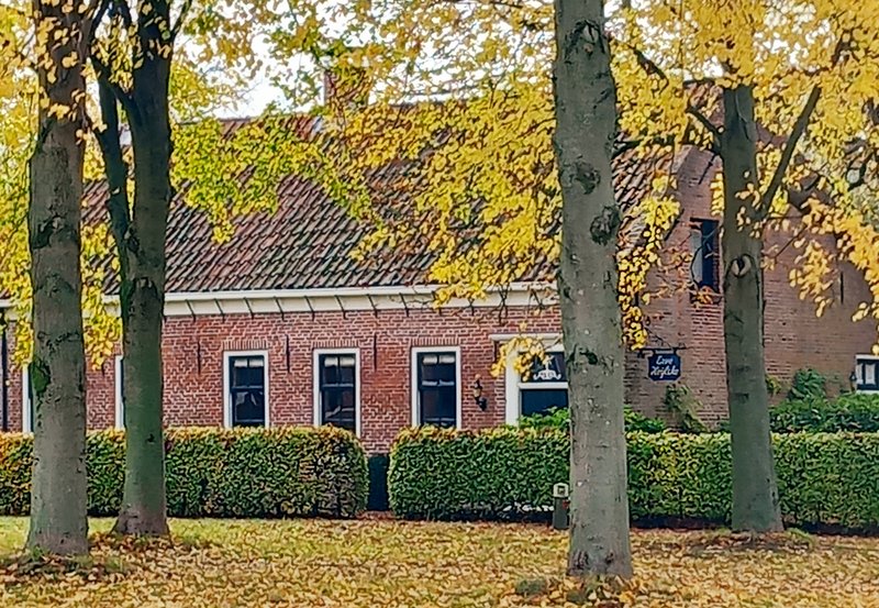 04-11-25 Goudgele bladeren bij het oude Raadhuis. Foto: Roelie Knigge Onstwedde.info