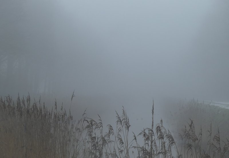 07-02-26 Het Mussel A kanaal op zaterdagmiddag. Foto: Magdalena