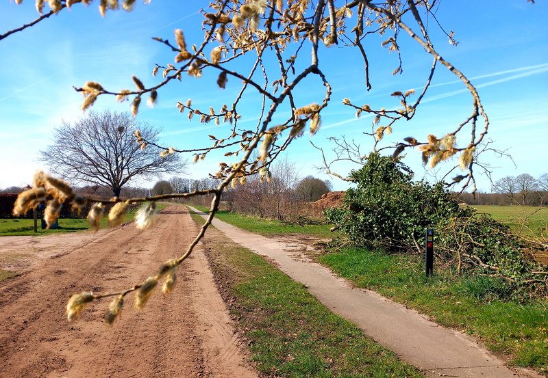 25-03-26 Molenpaal. Foto: Roelie Knigge Onstwedde
