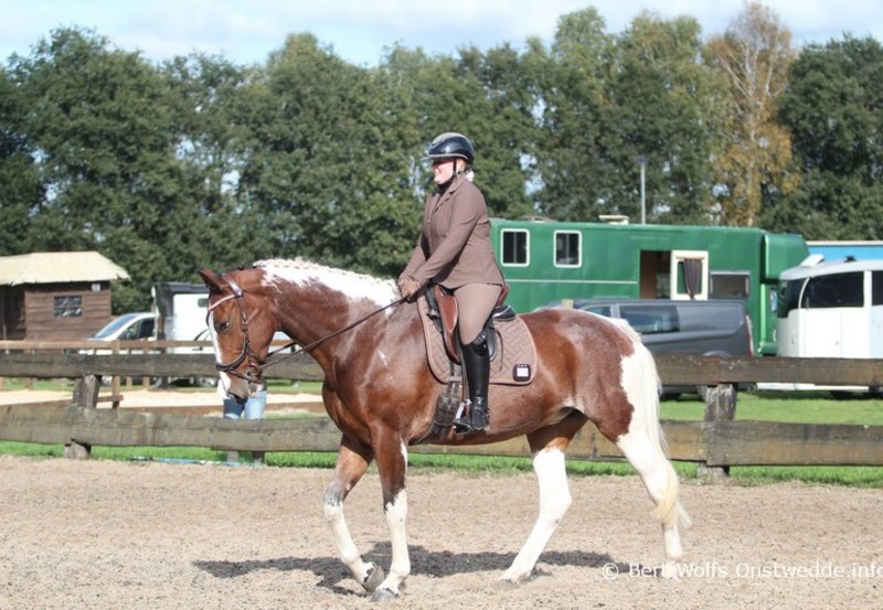 26-09-26 Working Equitation Thema Caribisch bij de manege. Foto: Bert Wolfs Onstwedde.info