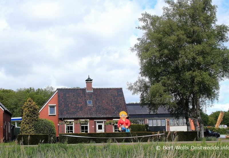 16-05-26 Een 50 jarige aan de Ter Wuppingerweg. Foto: Bert Wolfs Onstwedde.info