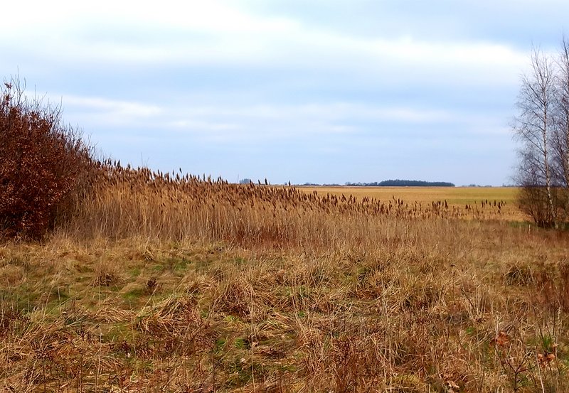 19-02-26 Ruim zicht in het landschap. Foto: Roelie Knigge Onstwedde.info