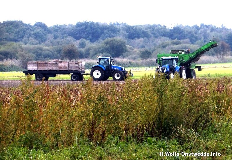 15-09-26 Aardappelen rooien aan de Sikkenbergweg. Foto: H. Wolfs Onstwedde.info