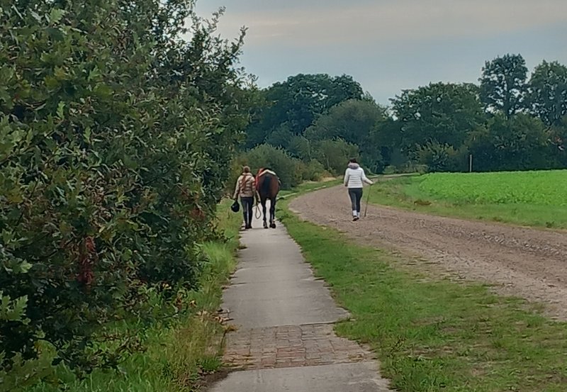 17-09-26 Wandelaars met paard op de Molenpaalweg. Foto: Onstwedde.info
