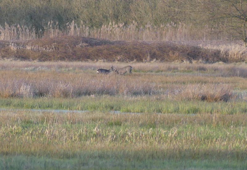 09-04-26 Ik buig voor jou. Foto: Magdalena