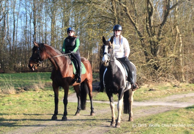 25-02-26 Twee amazones genieten van het mooie weer, tijdens hun buitenrit aan de Stöbkeweg. Foto: Bert Wolfs Onstwedde.info