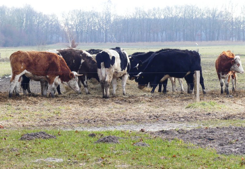 19-02-26 Samen (vr)eten in Ter Wupping. Foto: Magdalena