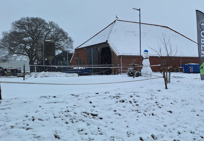 28-01-26 Sneeuwpop in de tuin bij Buffelfarm Meems. Foto: Anneke Orsel Onstwedde.info