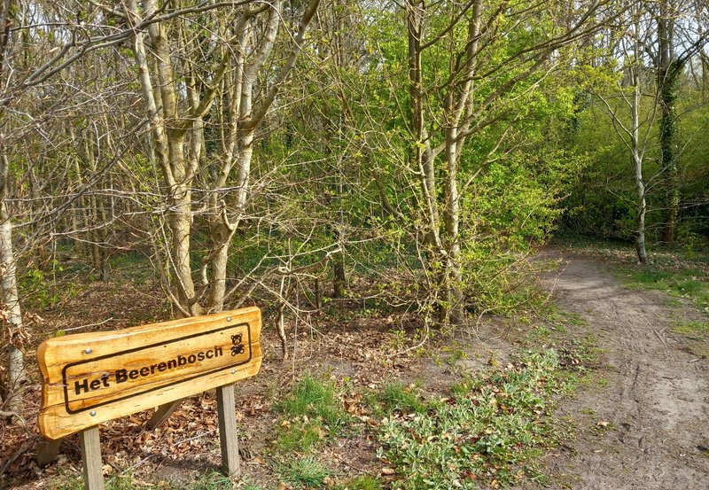 13-04-26 Het Beerenbosch ontluikt in het lentegroen. Foto: Roelie Knigge Onstwedde.info